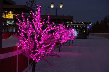 Noel dekorasyon pembe ağaçları