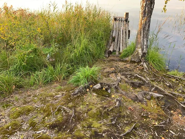 Holzsteg Einem See Nahaufnahme — Stockfoto