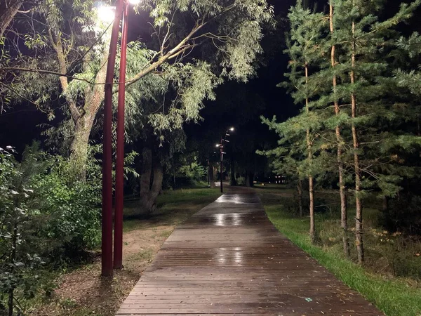 Sentiero Attraverso Parco Notte — Foto Stock
