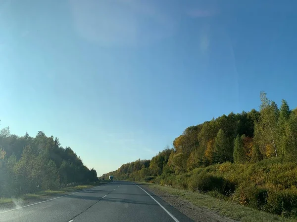 Orman Boyunca Boş Bir Yol Yaz — Stok fotoğraf