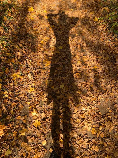 Schatten Einer Frau Auf Herbstblättern — Stockfoto