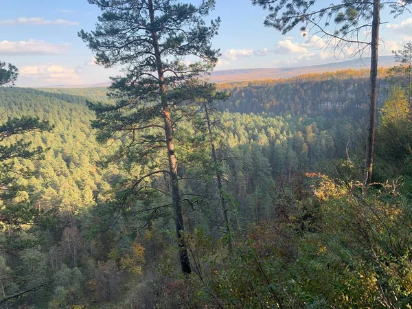 Vista Sobre Floresta Topo Montanha — Fotografia de Stock