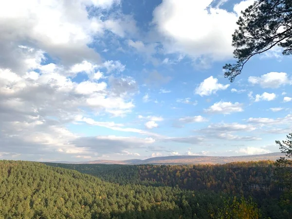 Vista Sobre Floresta Topo Montanha — Fotografia de Stock