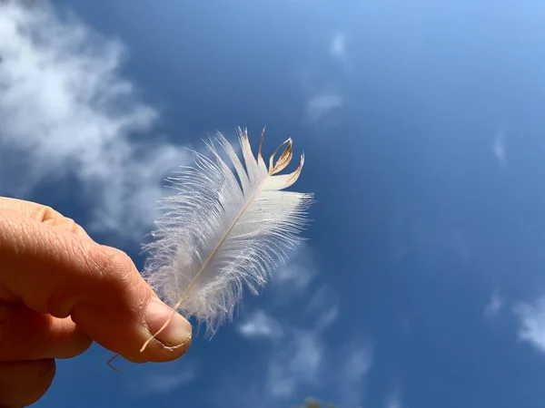 Mano Tenendo Una Piuma Contro Cielo Blu — Foto Stock