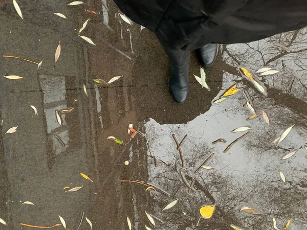 长满秋天落叶的柏油路 从雨中湿透 — 图库照片