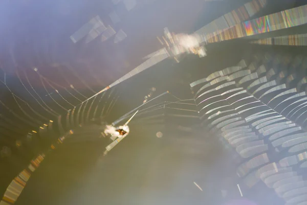 Makrokeime Von Spinnennetzen Weicher Fokus — Stockfoto