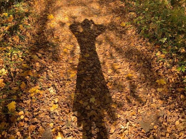 Sombra Uma Mulher Folhas Outono — Fotografia de Stock