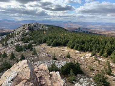 Dağın tepesinden ormana bak.