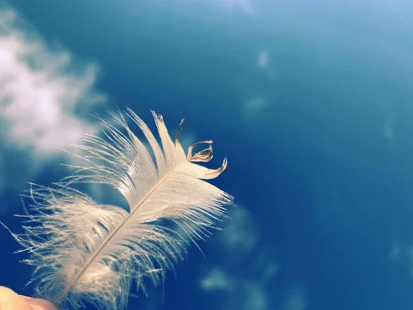 Mano Tenendo Una Piuma Contro Cielo Blu — Foto Stock