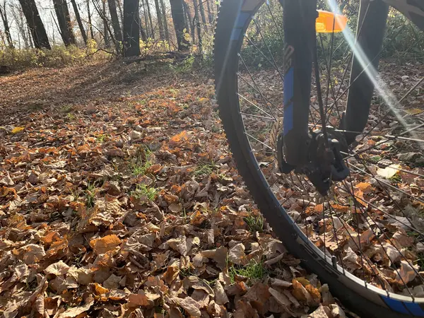 Montar Bicicleta Por Carretera Otoño —  Fotos de Stock