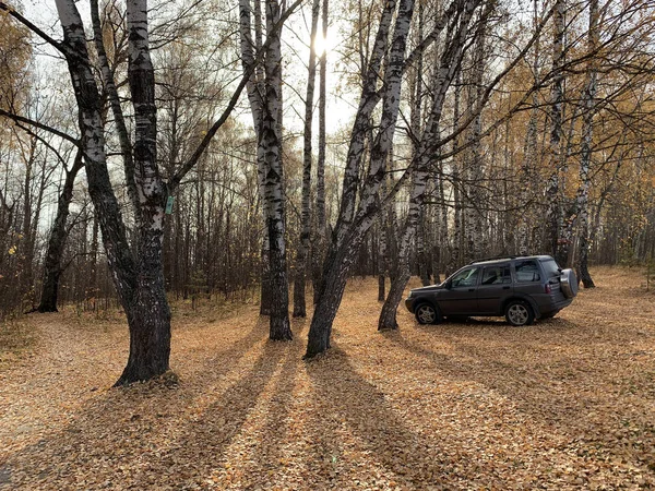 Auto Nella Foresta Autunno — Foto Stock