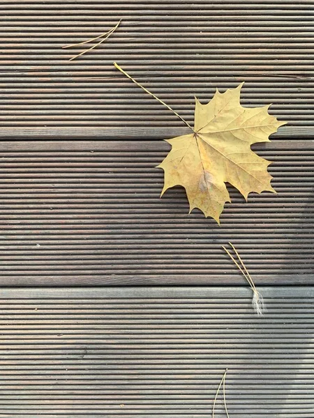 Hoja Otoño Sobre Fondo Madera Copiar Espacio —  Fotos de Stock