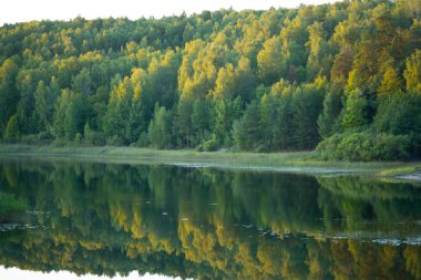 Ormanın yakınındaki yaz gölü. yumuşak odak