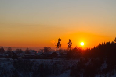 Kışın orman. Karla kaplı ağaçlar