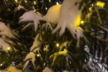 Süslü Noel ağacı. Noel ve yeni yıl kutlaması