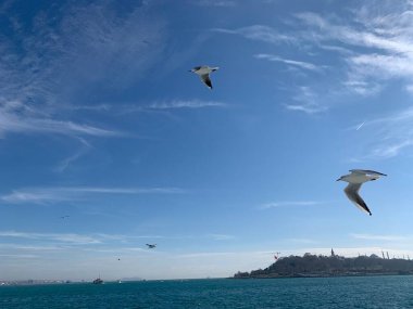 İstanbul Boğazı 'ndan İstanbul' a bak