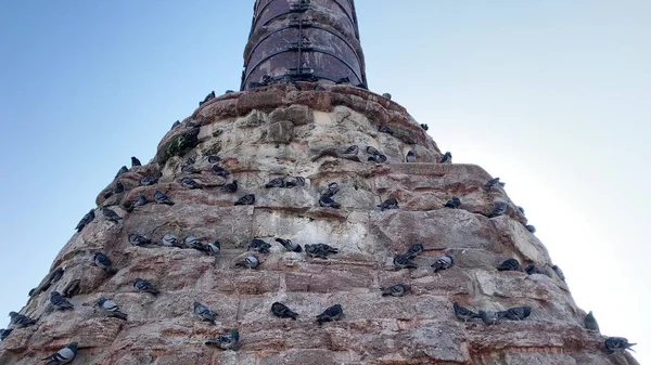 Konstantinsäule Istanbul Türkei — Stockfoto