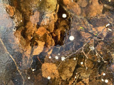Frozen yellow leaves on lake bottom
