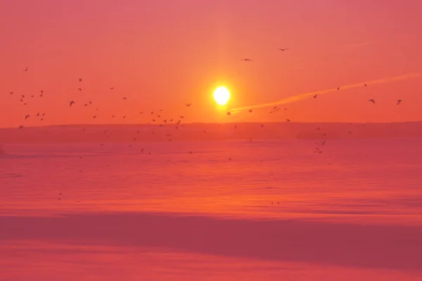 Winter Sunset Field Foot Path — Stock Photo, Image