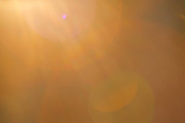 Ormanda gün ışığıyla bulanık arkaplan