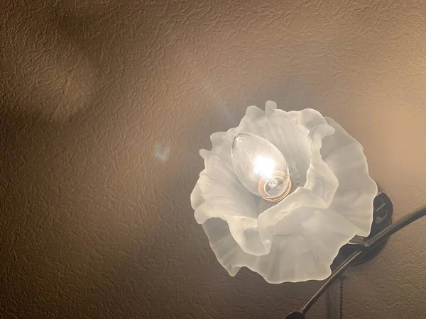 Lampe Forme Fleur Sur Mur — Photo