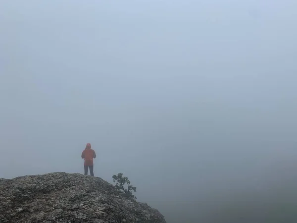 Мистические Скалы Скалы Густом Тумане — стоковое фото