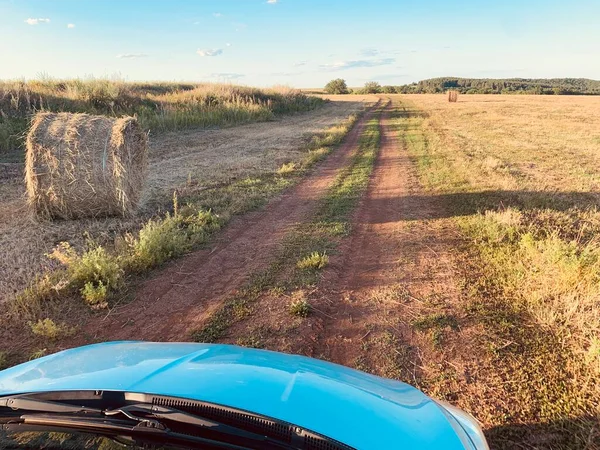 Kulta Vehnä Kenttä Sininen Taivas — kuvapankkivalokuva