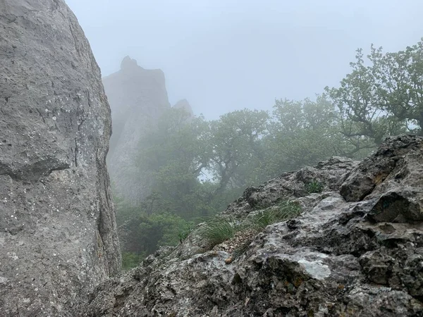 厚い霧の中で神秘的な岩や崖 — ストック写真