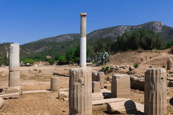 Vista Antiguo Santuario Griego Costa Jonia Llamado Claros Las Ruinas — Foto de Stock
