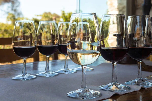 トルコのイズミル州のUrla地区のワインテイスティングでテーブルの上のワイングラスのビューを閉じます 晴れた夏の日です — ストック写真