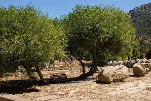 Veduta Antico Santuario Greco Sulla Costa Della Ionia Chiamato Claros — Foto Stock