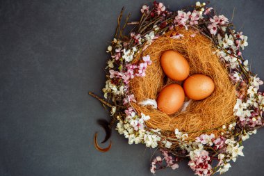 Bahar çiçekleri ve gri yumurta yuva