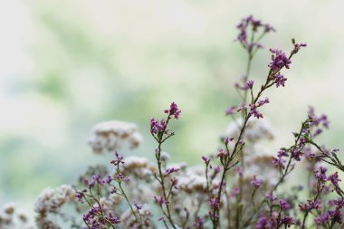 Çiçekler ve otlar buketi