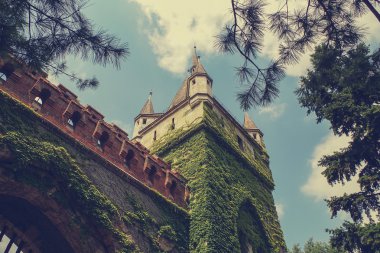 kapıları kule Vajdahunyad Castle Budapeşte'ile,