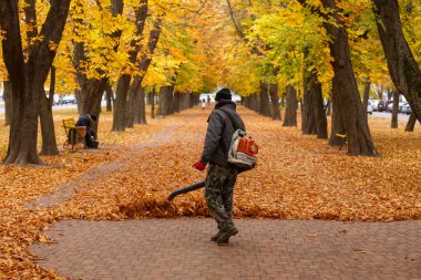 Ukrayna, Romny, 10.17.2025: Bir adam ağaçlarla kaplı bir park yolundan düşen sonbahar yapraklarını temizlemek için bir üfleyici kullanıyor. Bu sahne sonbahar bakımının özünü yakalar..