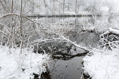 Karla kaplı dallar ve ağaçlarla çevrili sakin bir nehri gösteren sakin bir kış sahnesi donmuş bir manzaranın barışçıl güzelliğini yansıtıyor..