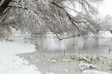Karla kaplı dalları, buzlu suları ve sakin doğal çevresiyle huzurlu bir kış nehri manzarası sakin bir mevsim manzarası yaratıyor..