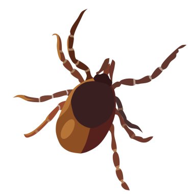 Insect tick, icon clipart