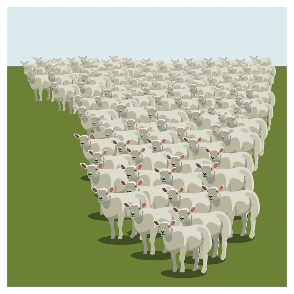 Rebaño de ovejas de animales haciendo cola, manteniéndose juntos — Vector de stock