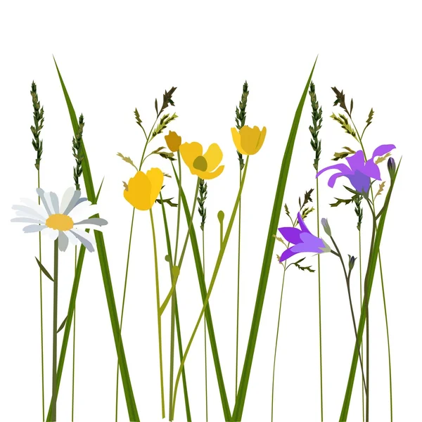Fleurs en prairie — Image vectorielle