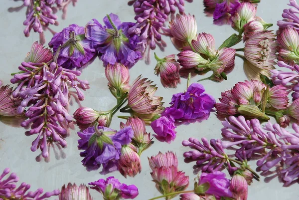 Bed van verspreide bloemen — Stockfoto