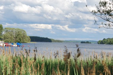 İsveçli Gölü ağaçlarıyla çevrili