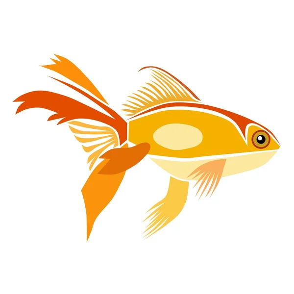 Goldfish in orange — Stock Vector