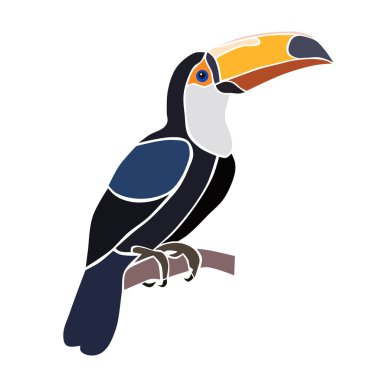 Toucan tropik kuşu