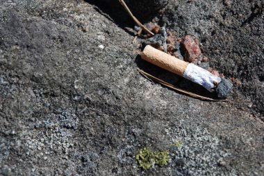 Sigara sonunda doğa çöp