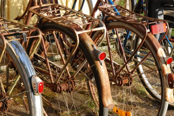 Vintage rusty bikes — Stock Photo, Image