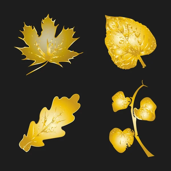 Conjunto de hojas doradas — Archivo Imágenes Vectoriales