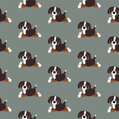 Kusursuz desenli Bernese dağ köpeği.