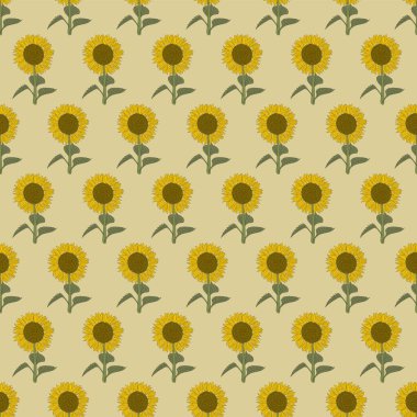 Kusursuz desenli ayçiçeği bahçesi