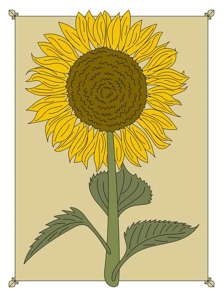 Handgezeichnete Garten Sonnenblume — Stockvektor